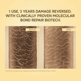 Champi Bond Repair Shampoo